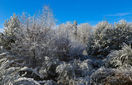 Hiver 2016
