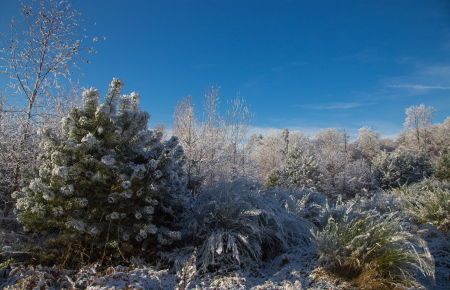 Hiver 2016