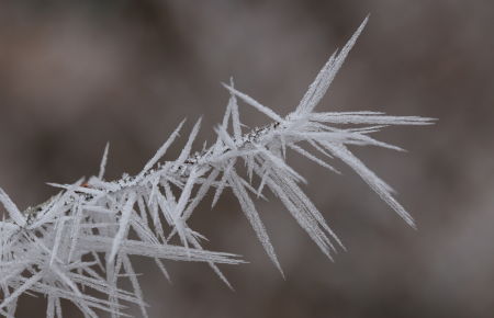 Les épis de glace