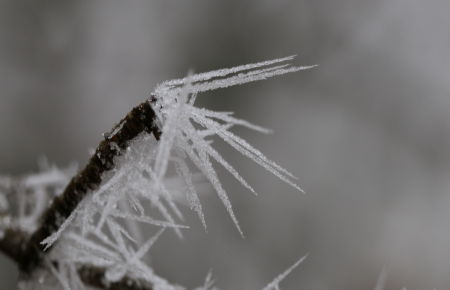 Les épis de glace