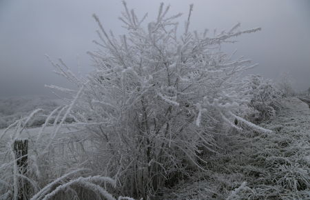 Hiver 2016