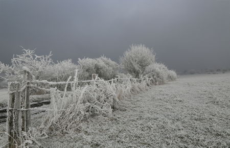 Hiver 2016