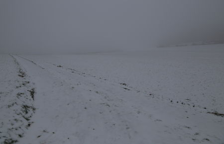 Hiver 2016