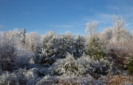 Hiver 2016