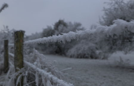 Fil de fer dans la glace
