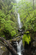 cascade dans la région de Macico