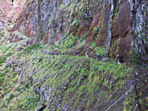 le chemin , le long de la falaise