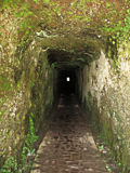 Dans le tunnel