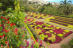 Le jardin des plantes