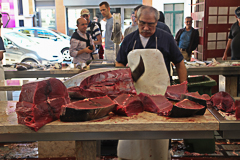 Le marché aux poissons