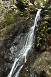 Une cascade