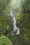 une cascade