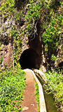 Une levada, entré d'un tunnel