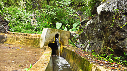 Une levada 