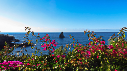 Funchal bord de mer