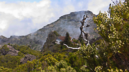 Le refuge du pico Ruivo
