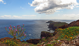 la pointe de Sao lourenzo