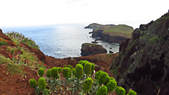 la pointe de Sao lourenzo