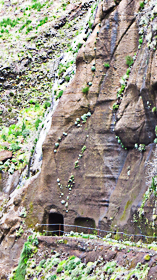 Entré de  tunnel