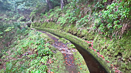 Le chemin le long d'un levada