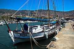 Funchal, le port