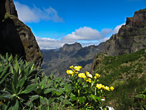 Vue sur les Picos