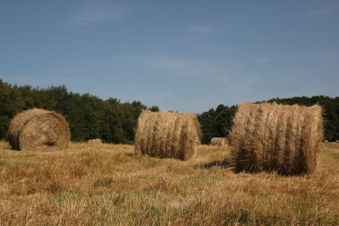 Balles de foin