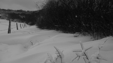 Hiver 2012