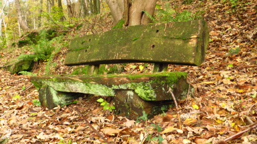 Un banc en automne